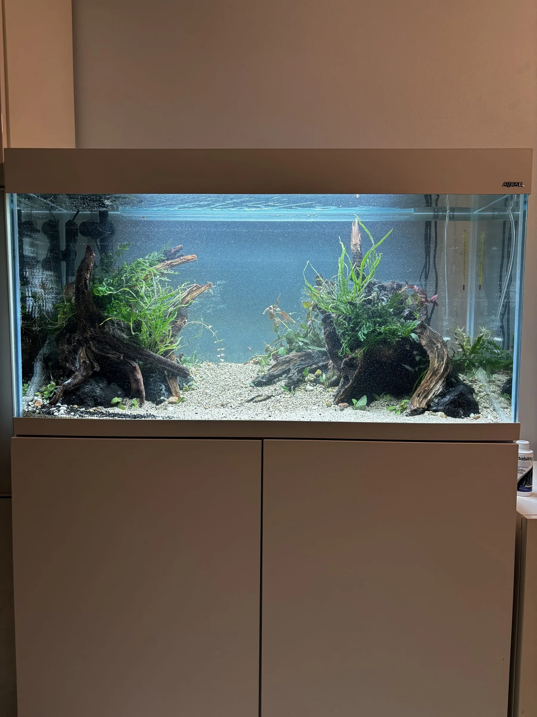 Dwa korzenie — akwarium SP Aquatics