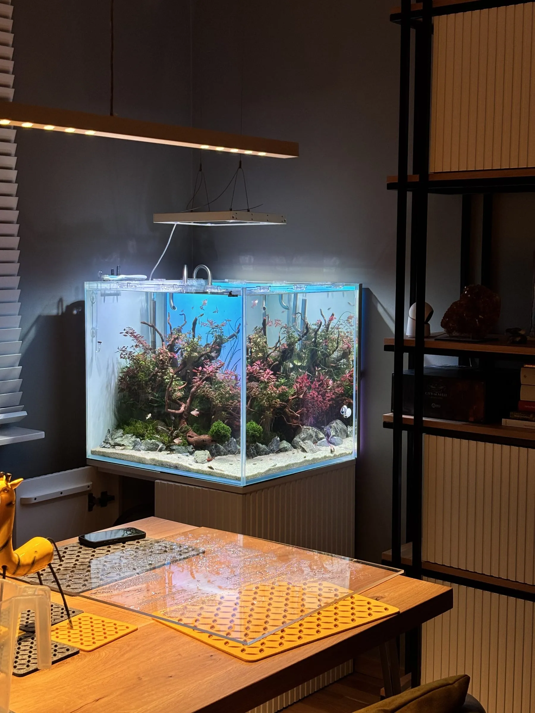 Akwarium w jadalni — akwarium SP Aquatics