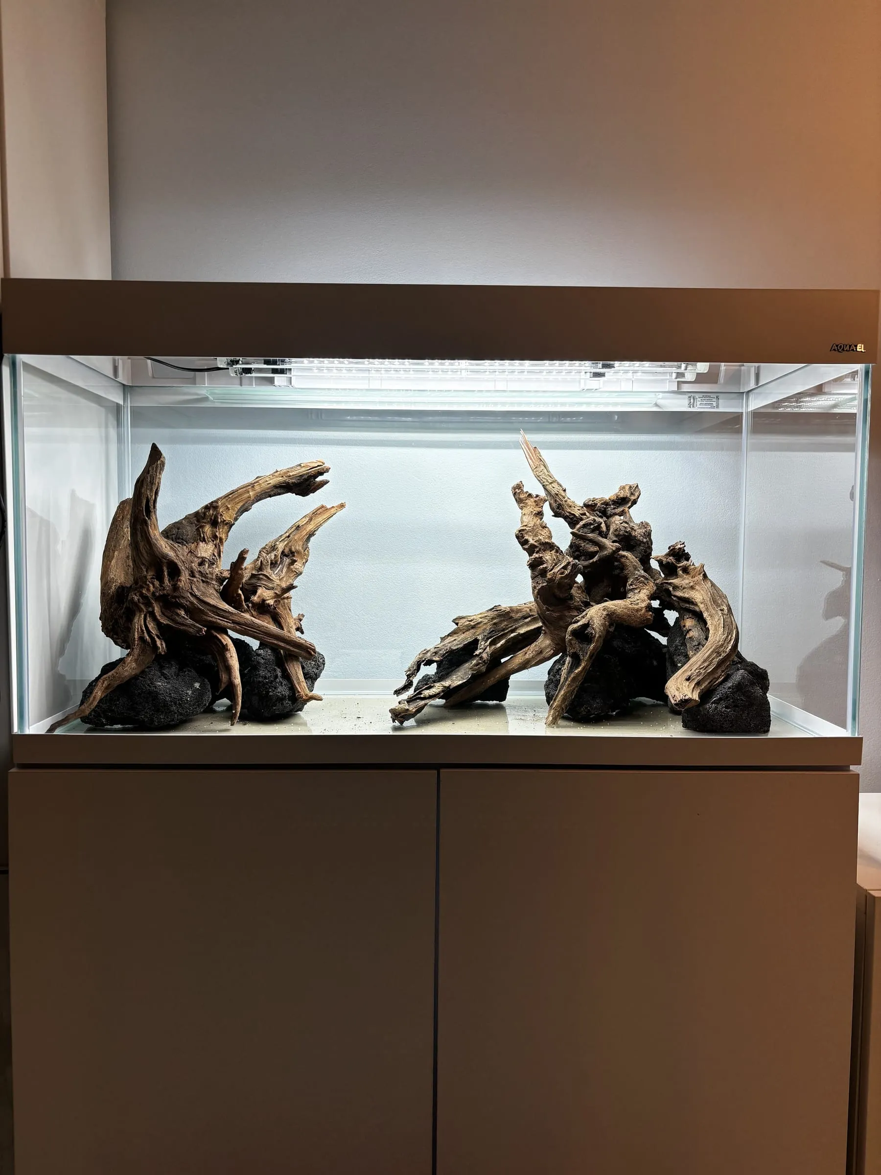 Dwa korzenie — etap 1