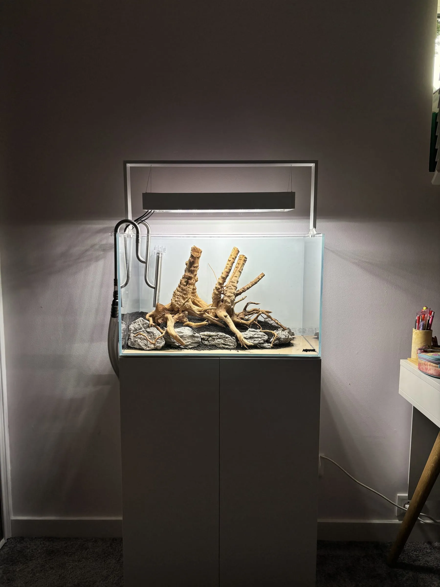 Korzenie spider wood — etap 1