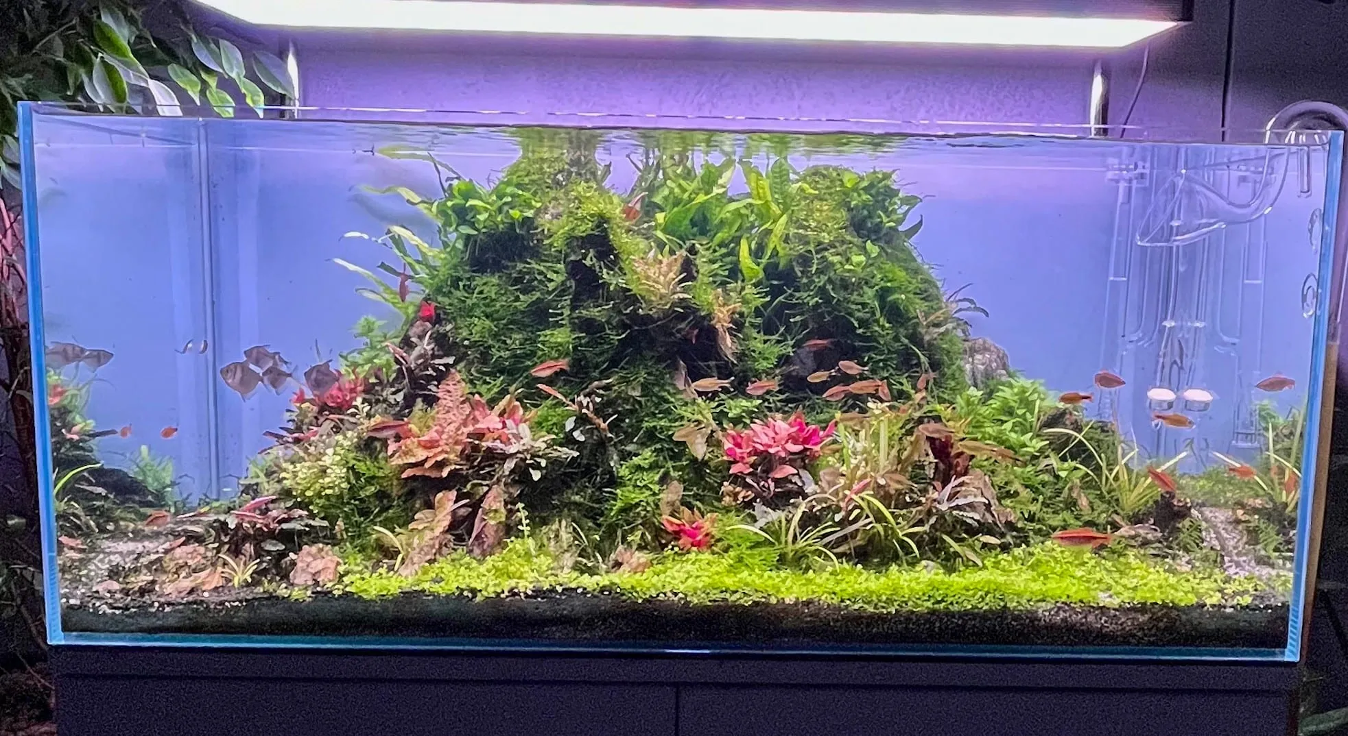 Górski krajobraz — etap 4