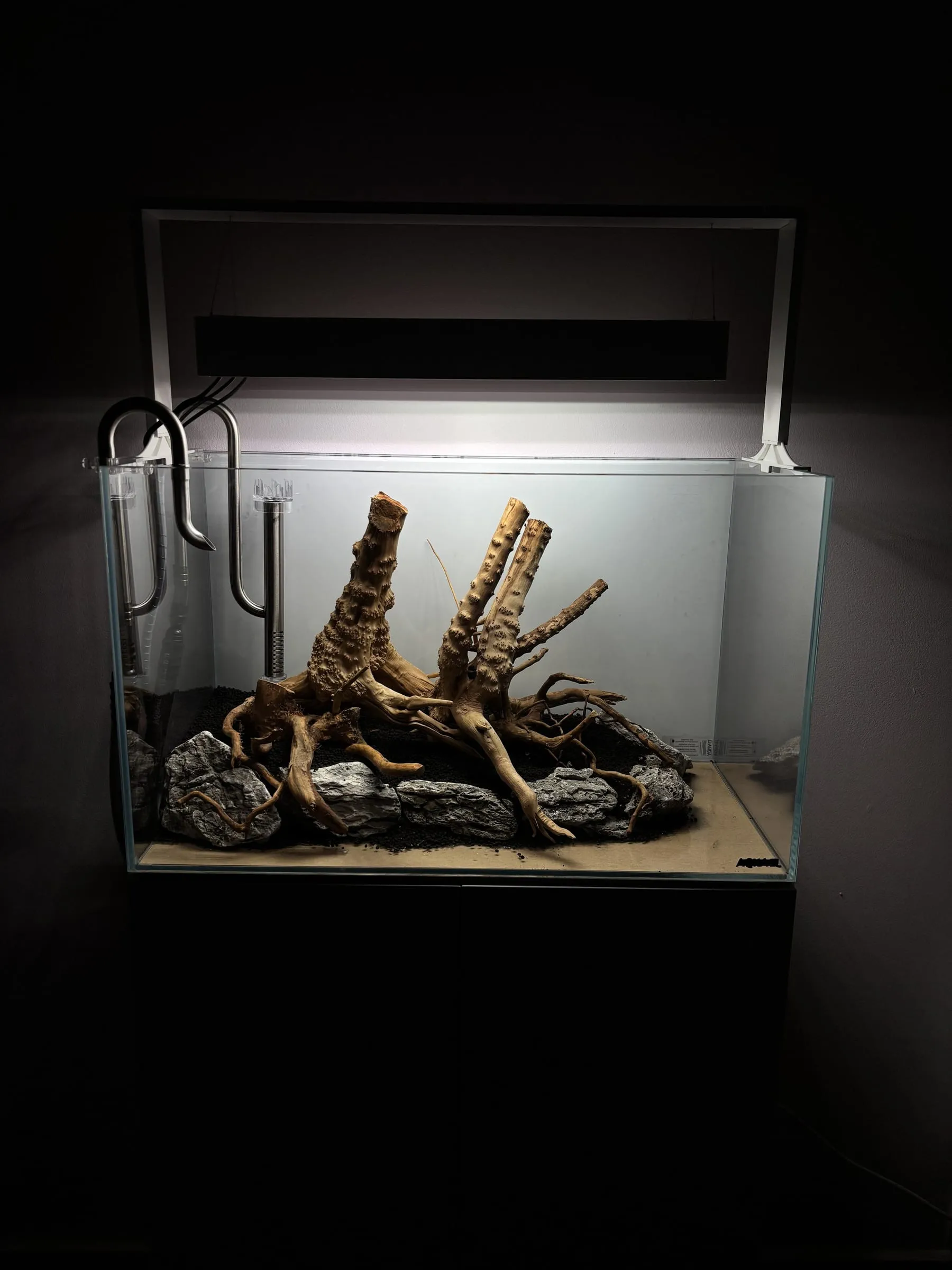 Korzenie spider wood — etap 4