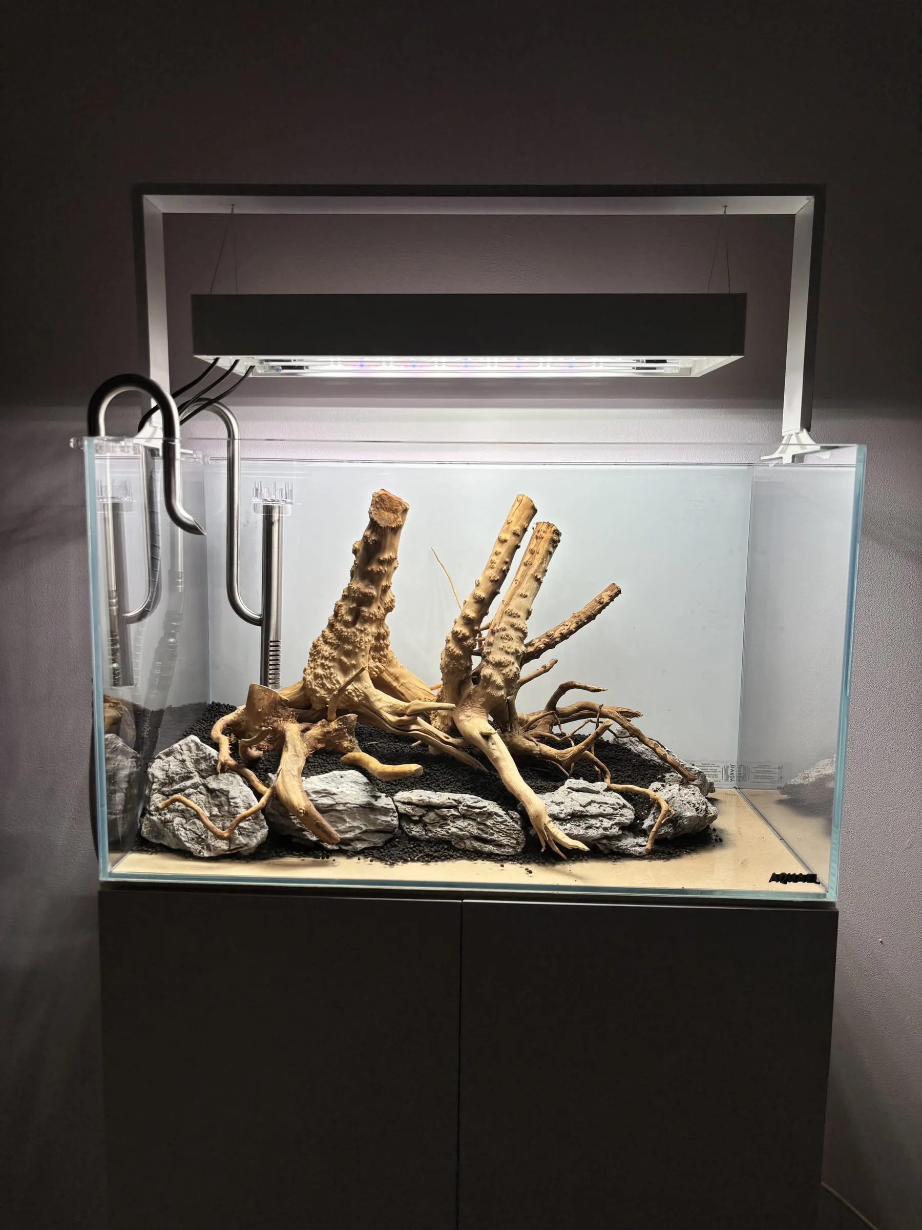 Korzenie spider wood — etap 5