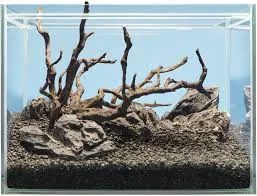 DIY w aquascapingu – jak samodzielnie stworzyć tani hardscape?