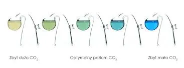 Porównanie systemów CO₂: butle wysokociśnieniowe vs. zestawy jednorazowe