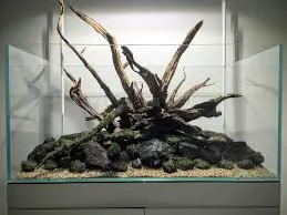 DIY w aquascapingu – jak samodzielnie stworzyć tani hardscape?
