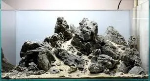 DIY w aquascapingu – jak samodzielnie stworzyć tani hardscape?