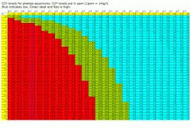 CO2 w aquascapingu – czy warto inwestować w butlę z gazem?