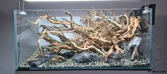 Hardscape w aquascapingu – jak dobrze dobrać kamienie i korzenie?