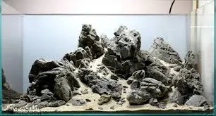 Hardscape w aquascapingu – jak dobrze dobrać kamienie i korzenie?