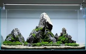 Hardscape w aquascapingu – jak dobrze dobrać kamienie i korzenie?