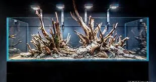 Hardscape w aquascapingu – jak dobrze dobrać kamienie i korzenie?
