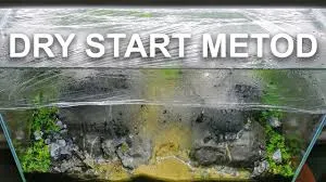 Technika Dry Start – Jak Rozpocząć Akwarium Bez Wody?